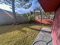 Spacious villa with 7 bedrooms and pool in Onil in Daft on Spain 