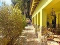 Villa con 3 Dormitorios y 2 Baños Paseo al pueblo en Novelda in Daft on Spain 
