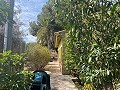 Villa con 3 Dormitorios y 2 Baños Paseo al pueblo en Novelda in Daft on Spain 