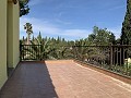 Villa con 3 Dormitorios y 2 Baños Paseo al pueblo en Novelda in Daft on Spain 