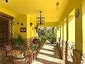 Villa con 3 Dormitorios y 2 Baños Paseo al pueblo en Novelda in Daft on Spain 