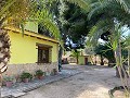 Villa con 3 Dormitorios y 2 Baños Paseo al pueblo en Novelda in Daft on Spain 