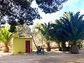 Villa con 3 Dormitorios y 2 Baños Paseo al pueblo en Novelda in Daft on Spain 