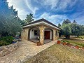 Incredible villa 10 minutes from the beach in Mutxamel in Daft on Spain 