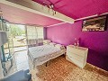Incredible villa 10 minutes from the beach in Mutxamel in Daft on Spain 