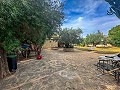 Incredible villa 10 minutes from the beach in Mutxamel in Daft on Spain 