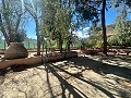 Country house to renovate in Jumilla in Daft on Spain 