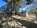 Country house to renovate in Jumilla in Daft on Spain 