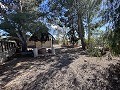 Country house to renovate in Jumilla in Daft on Spain 