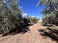 Country house to renovate in Jumilla in Daft on Spain 