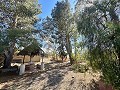 Country house to renovate in Jumilla in Daft on Spain 