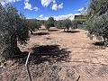 Country house to renovate in Jumilla in Daft on Spain 