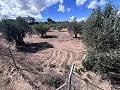 Country house to renovate in Jumilla in Daft on Spain 