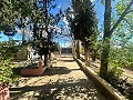 Country house to renovate in Jumilla in Daft on Spain 