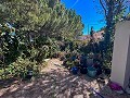 Geräumiges Landhaus mit 8 Zimmern zum Renovieren in Yecla in Daft on Spain 