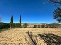 Geräumiges Landhaus mit 8 Zimmern zum Renovieren in Yecla in Daft on Spain 