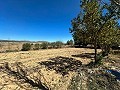 Geräumiges Landhaus mit 8 Zimmern zum Renovieren in Yecla in Daft on Spain 