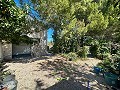 Geräumiges Landhaus mit 8 Zimmern zum Renovieren in Yecla in Daft on Spain 
