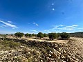 Enorme bouwkavels met ongelooflijk uitzicht in Yecla in Daft on Spain 