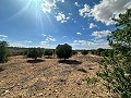 Enorme bouwkavels met ongelooflijk uitzicht in Yecla in Daft on Spain 