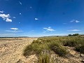 Enorme bouwkavels met ongelooflijk uitzicht in Yecla in Daft on Spain 