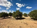 Enorme bouwkavels met ongelooflijk uitzicht in Yecla in Daft on Spain 