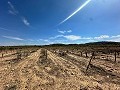Enorme bouwkavels met ongelooflijk uitzicht in Yecla in Daft on Spain 