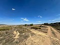 Enorme bouwkavels met ongelooflijk uitzicht in Yecla in Daft on Spain 