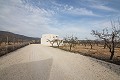 Villa neuve avec piscine in Daft on Spain 