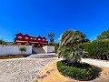 Herenhuis tussen Monóvar en Novelda in Daft on Spain 
