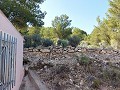 Partially Reformed 4 Bed 1 Bath Country House in Daft on Spain 