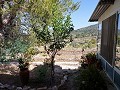 Partially Reformed 4 Bed 1 Bath Country House in Daft on Spain 
