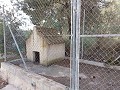 Partially Reformed 4 Bed 1 Bath Country House in Daft on Spain 