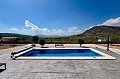 Prachtige virtuele nieuwbouwvilla net buiten Pinoso in Daft on Spain 