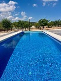 Prachtige virtuele nieuwbouwvilla net buiten Pinoso in Daft on Spain 