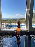 Prachtige virtuele nieuwbouwvilla net buiten Pinoso in Daft on Spain 