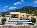 Prachtige virtuele nieuwbouwvilla net buiten Pinoso in Daft on Spain 