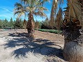 Villa grande de 4 dormitorios y 2 baños muy cerca de Yecla in Daft on Spain 