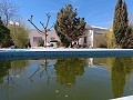 Villa grande de 4 dormitorios y 2 baños muy cerca de Yecla in Daft on Spain 