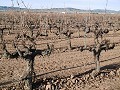 Grande Maison de Campagne avec Piscine & Vignoble in Daft on Spain 