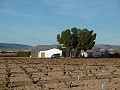 Grande Maison de Campagne avec Piscine & Vignoble in Daft on Spain 