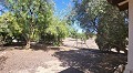 Beautiful Country Villa With Pool And Land in Daft on Spain 