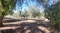 Beautiful Country Villa With Pool And Land in Daft on Spain 