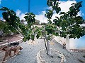 Charming villa located in Agost in Daft on Spain 