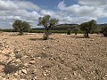 Maison de campagne avec 4 chambres, Garage et Piscine in Daft on Spain 
