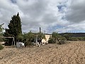 Maison de campagne avec 4 chambres, Garage et Piscine in Daft on Spain 
