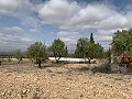 Maison de campagne avec 4 chambres, Garage et Piscine in Daft on Spain 