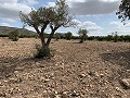 Maison de campagne avec 4 chambres, Garage et Piscine in Daft on Spain 