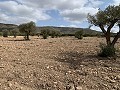 Maison de campagne avec 4 chambres, Garage et Piscine in Daft on Spain 