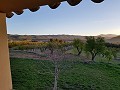 Stunning 7 Bed 8 Bath Finca in Alcoy in Daft on Spain 